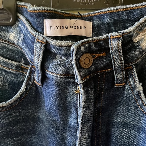 FLYING MONKEY - Picture 4 of 6